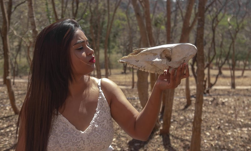 Magical Photoshoots